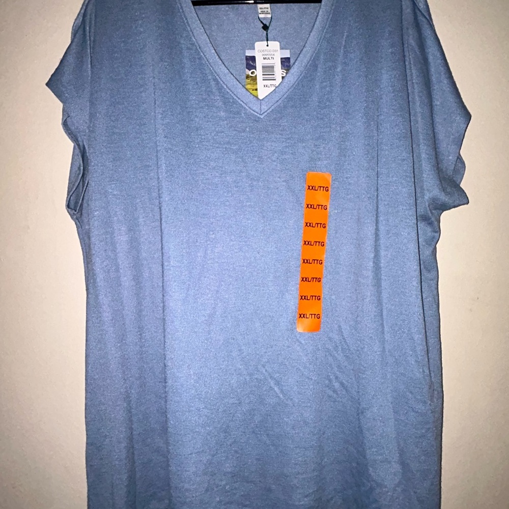 Blue V-Neck Tunic